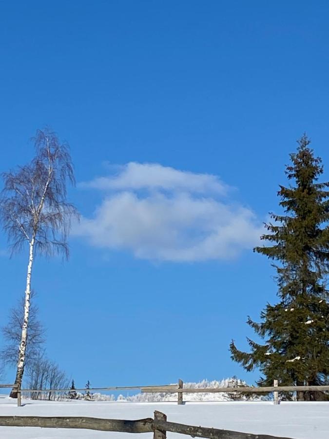Садиба Anna Slavske Exteriér fotografie